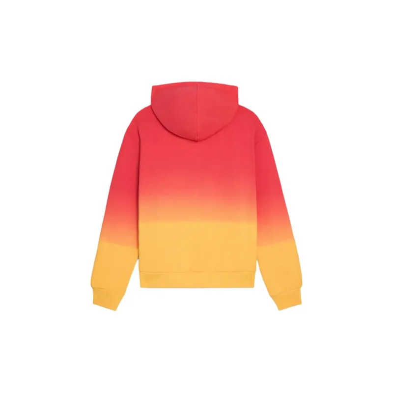 CELINE Loose Hoodie-1