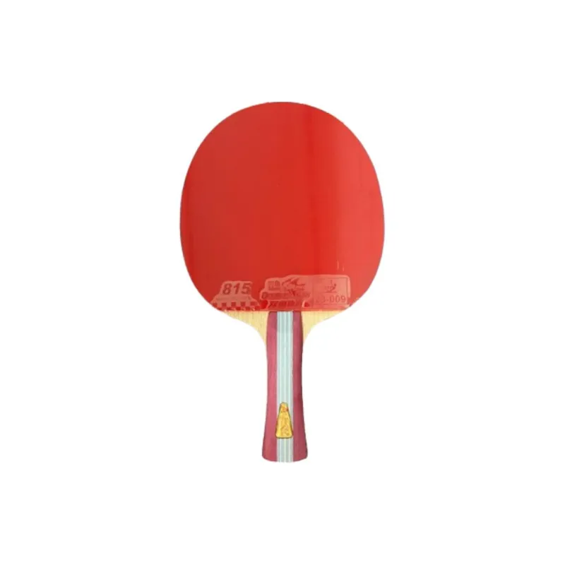 DOUBLEFISH Ping Pong Paddles Unisex Rubber Solid Wood-0
