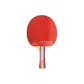 [One Star]1A+Casual Style Single-Shakehand Grip Long Handle