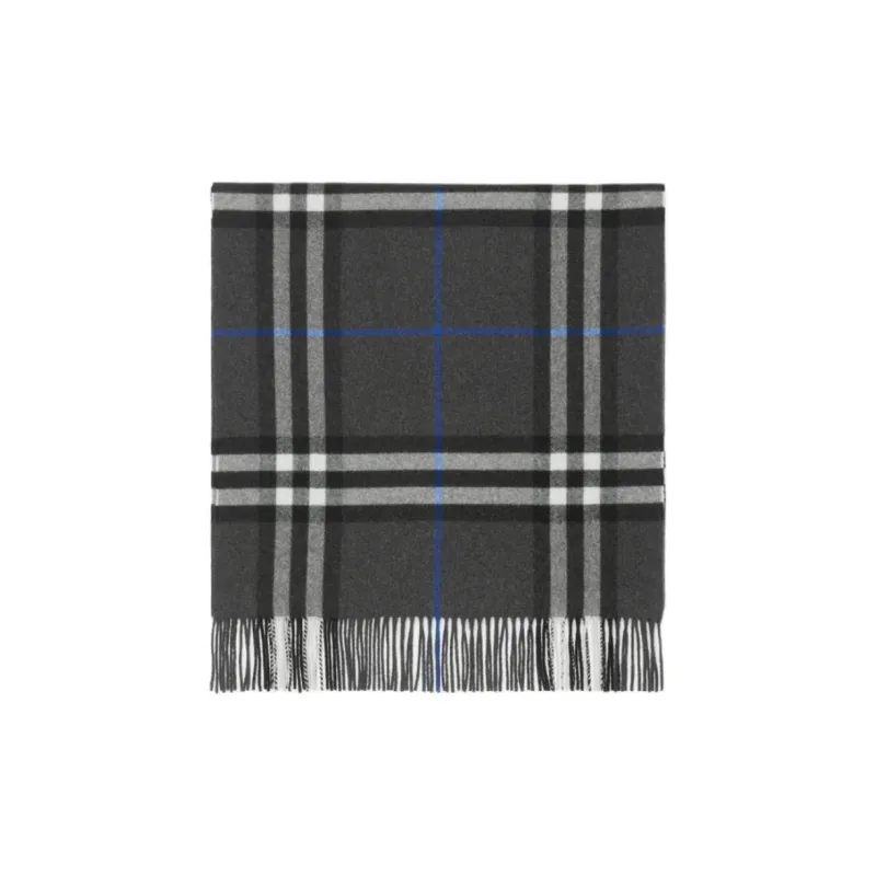 Burberry Check Printed Fringed Scarf-1