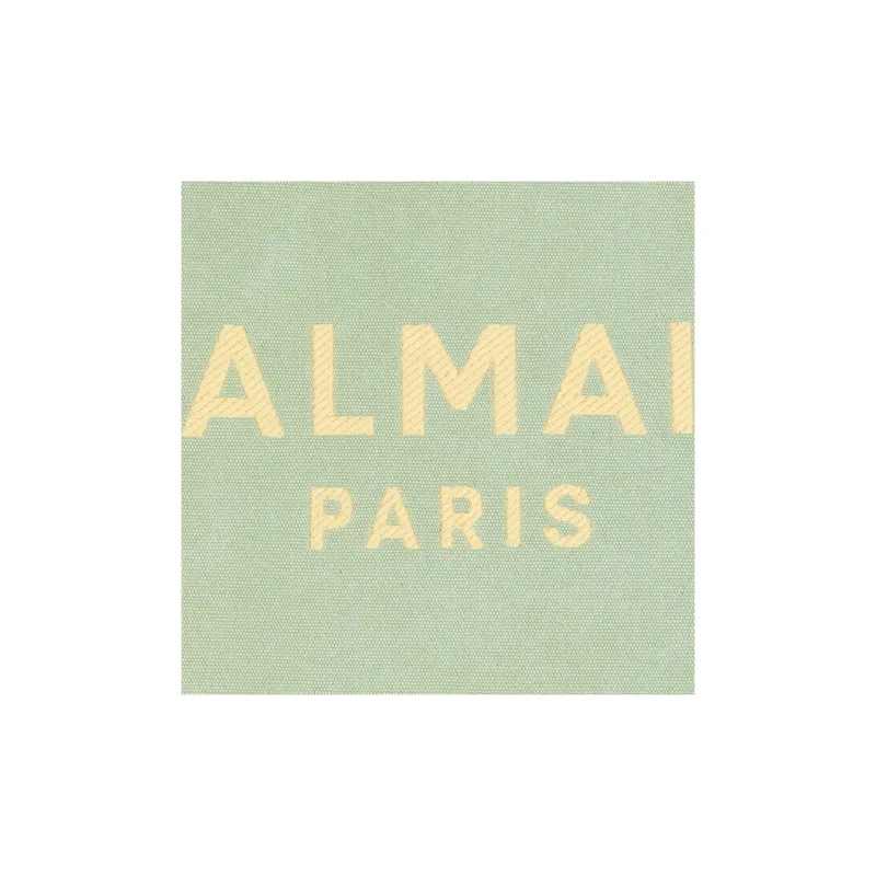 BALMAIN B-ARMY Canvas With Leather Canvas Bag Tote Bag Shopping Bag Handbag Medium Size Women's Green/Pink-3