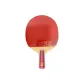 [Two-Star]2A+Entertainment Model Single Piece-Penhold Grip Short Handle