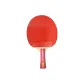 [Two-Star]2A+Entertainment Model Single Piece-Shakehand Grip Long Handle