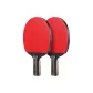 Double Fish Kirin Gold, Penhold Grip[Double Rackets]