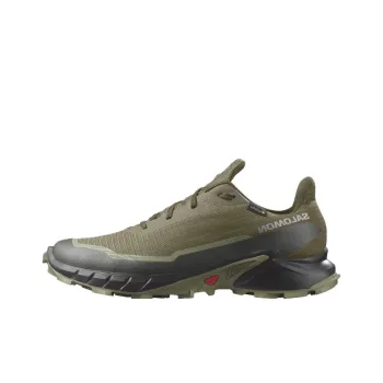 SALOMON Alphacross 5 GORE TEX 'Olive Night Black'