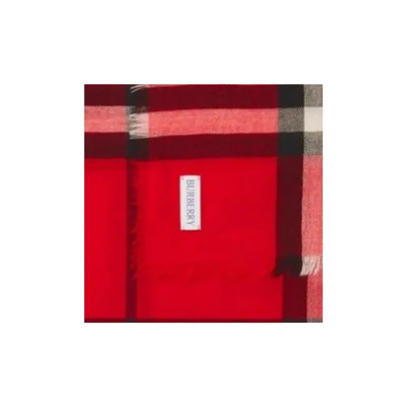 Burberry Checked Frayed Edge Scarf-2