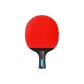 Straight Blade (Short Handle) Guo 3cs [Single - Double-Sided Inverted Rubber | Straight Blade Short Handle] Includes Paddle Bag+6 pcs 3-Star balls+2 protective films
