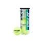 TR3 Tennis[3-Pack]1 Tube