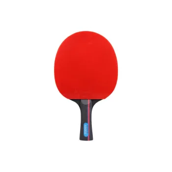 JOOLA Ping Pong Paddles