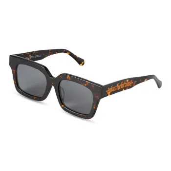 PLASTIC BRAIN Plate Frame Square Sunglasses Unisex