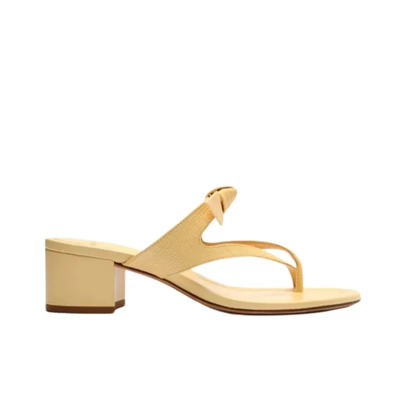 Alexandre Birman Flip Flops 4.5cm Women's Yellow-1