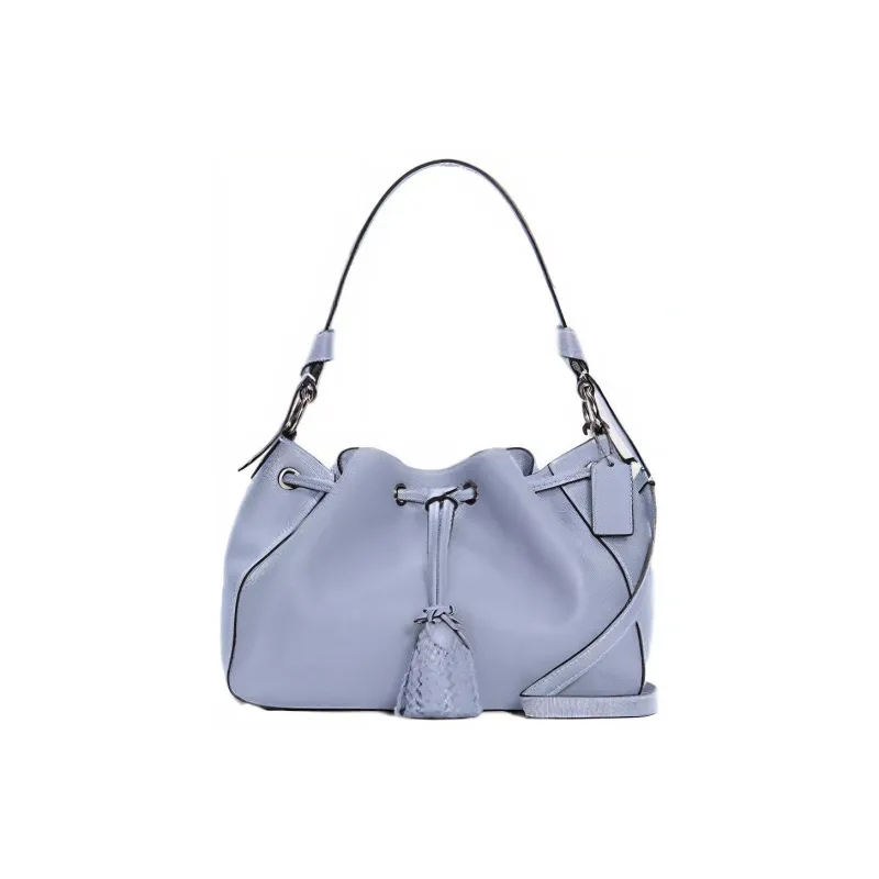 COACH Everly Leather Shoulder Bag Crossbody Bag Handbags Large Size Women's Haze Blue Solid Color Morandi Green-0