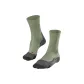 7431 Gray Green