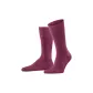 Fuchsia 8576