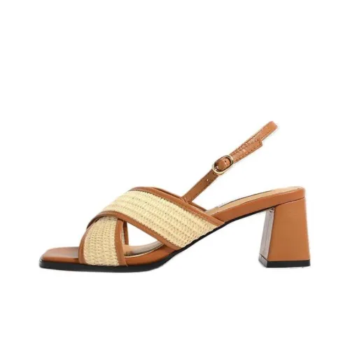 STEVE MADDEN Strap Sandals 5.5cm Women's Brown