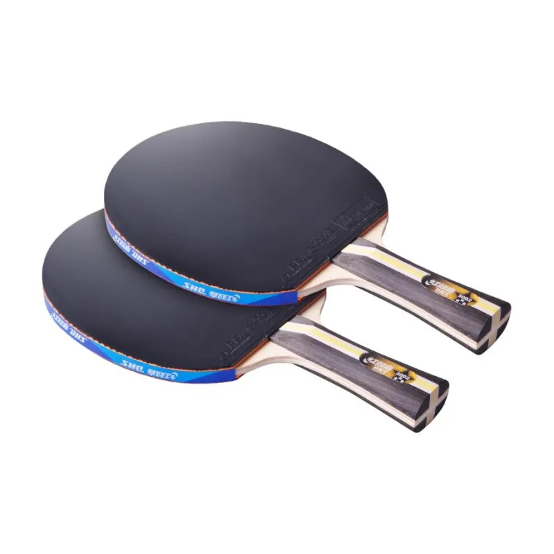 DHS Ping Pong Paddles-22