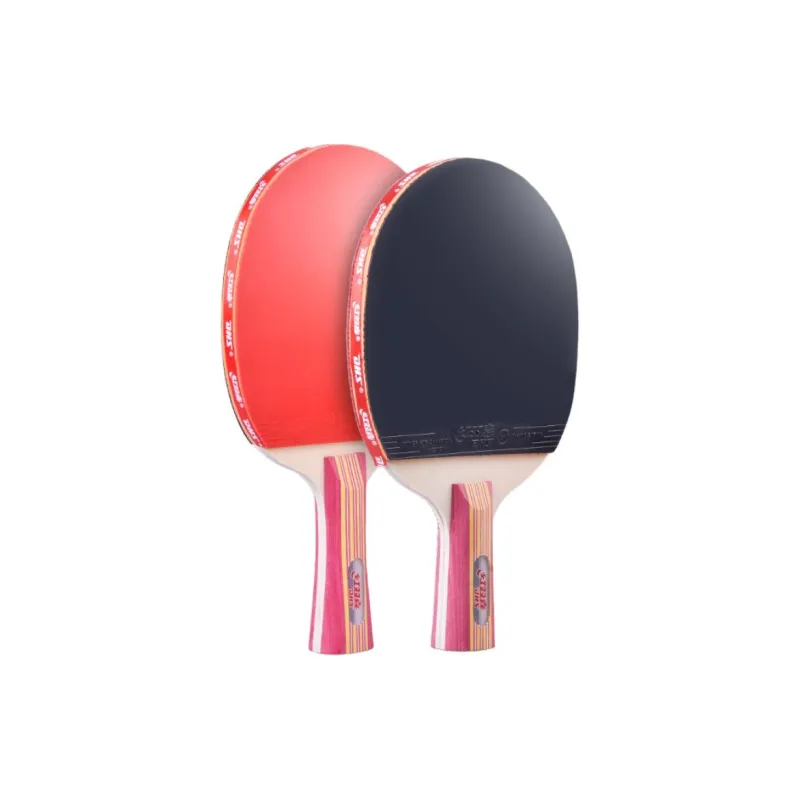 DHS Ping Pong Paddles-12