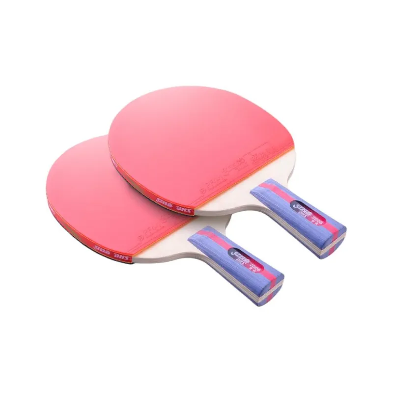 DHS Ping Pong Paddles-20