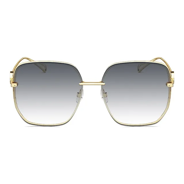 MOLSION Irregular Shape Sunglasses Unisex Multiple Colors-1