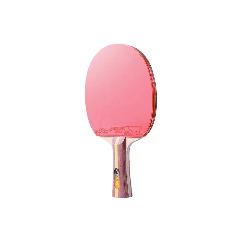 DHS Ping Pong Paddles-4
