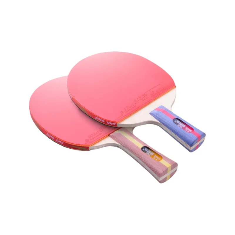 DHS Ping Pong Paddles-21