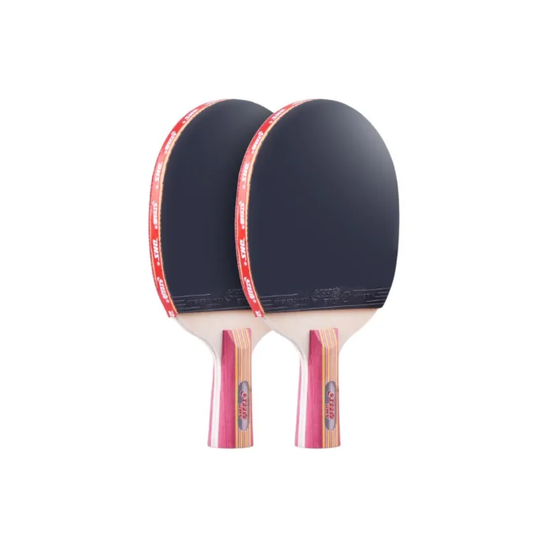 DHS Ping Pong Paddles-11