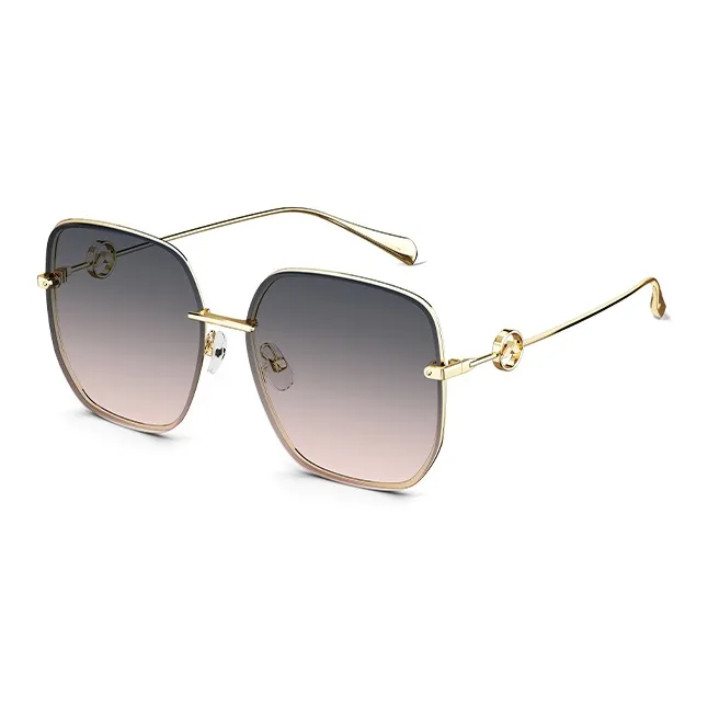 MOLSION Irregular Shape Sunglasses Unisex Multiple Colors-4