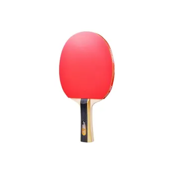 DHS Ping Pong Paddles