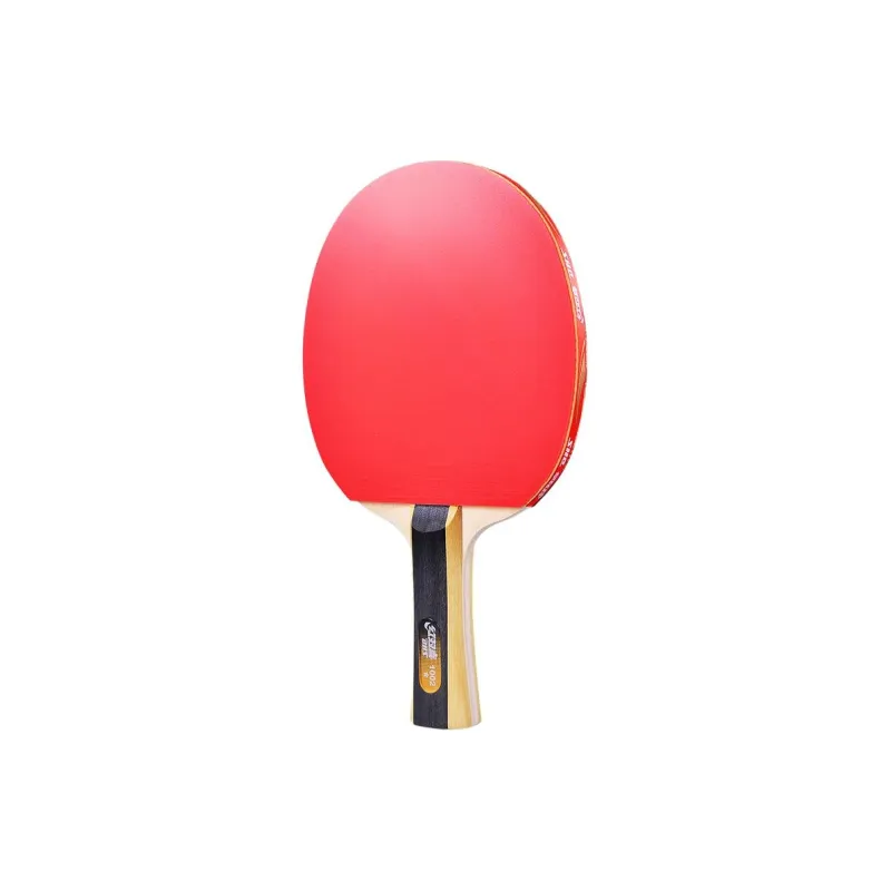 DHS Ping Pong Paddles-0