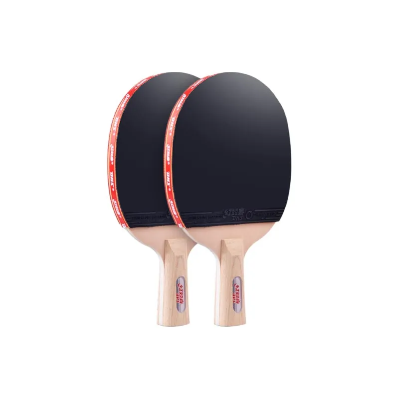 DHS Ping Pong Paddles-14
