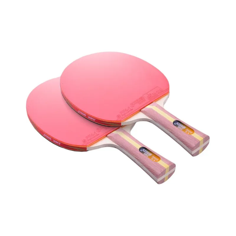 DHS Ping Pong Paddles-19