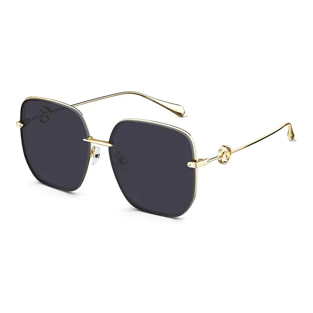 MOLSION Irregular Shape Sunglasses Unisex Multiple Colors-12