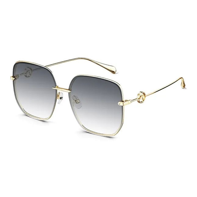 MOLSION Irregular Shape Sunglasses Unisex Multiple Colors-0