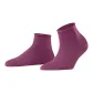 Burgundy Purple 8807