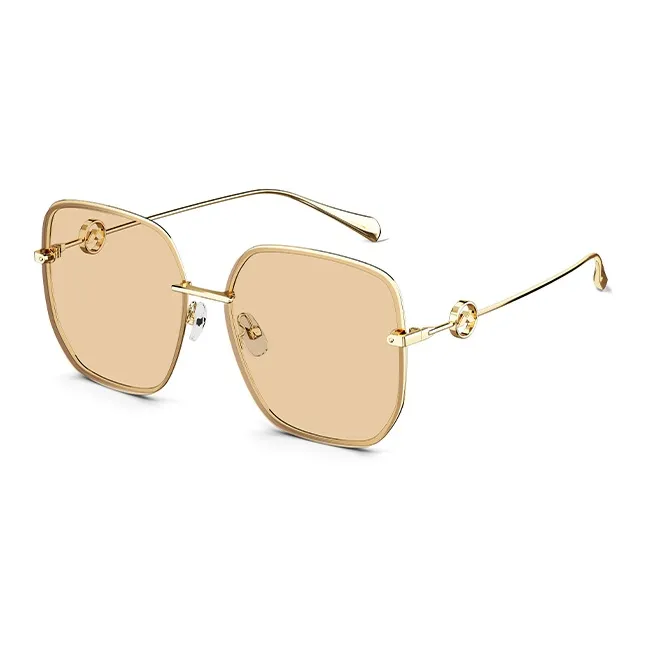 MOLSION Irregular Shape Sunglasses Unisex Multiple Colors-8