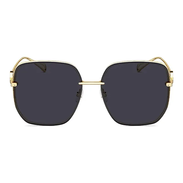 MOLSION Irregular Shape Sunglasses Unisex Multiple Colors-13