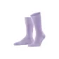 Blue Purple 6903