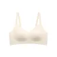 Champagne White