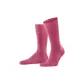 Purple Pink 8025