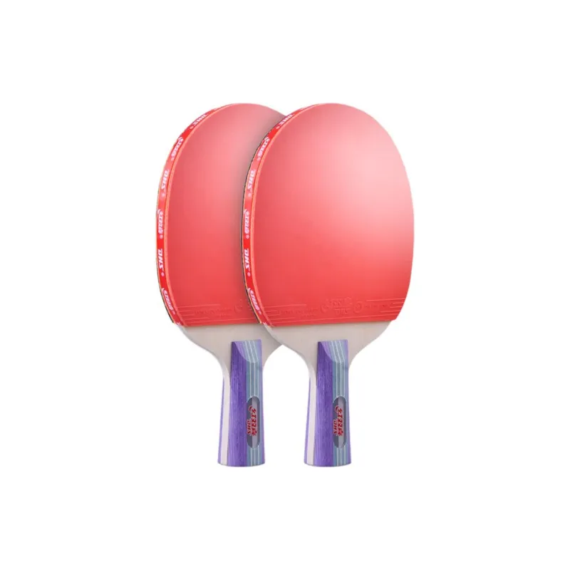 DHS Ping Pong Paddles-8