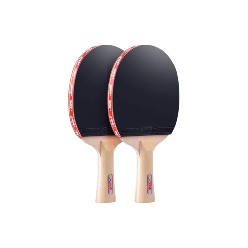 DHS Ping Pong Paddles-13