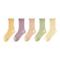 5 Pack (Cream Yellow-Light Aqua Green-Orange Pink-Orange-Mauve)