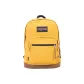 Ginger Yellow