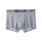 Light Gray