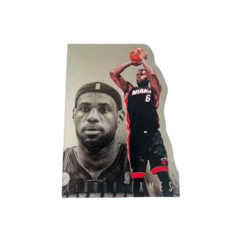 PANINI 13 14 Miami Heat James Conspiracy Irregular Shape Player Card Product Pass Sports Cards 1 Pc