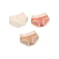 3 Pack[Light Skin+Watermelon Red+Champagne Gold]