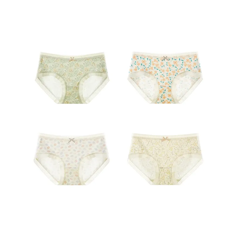 FENTENG Underpants Women's 4 Pack-0