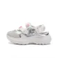 White Silver Gray
