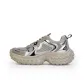 Silver Gray
