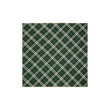 Burberry Silk Silk Scarves Women's Green